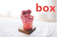 Three-dimensional cake socks home floor socks pearl velvet tube female socks