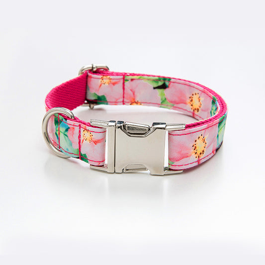 Dog Collar Amazon Dog Leash Pattern Set