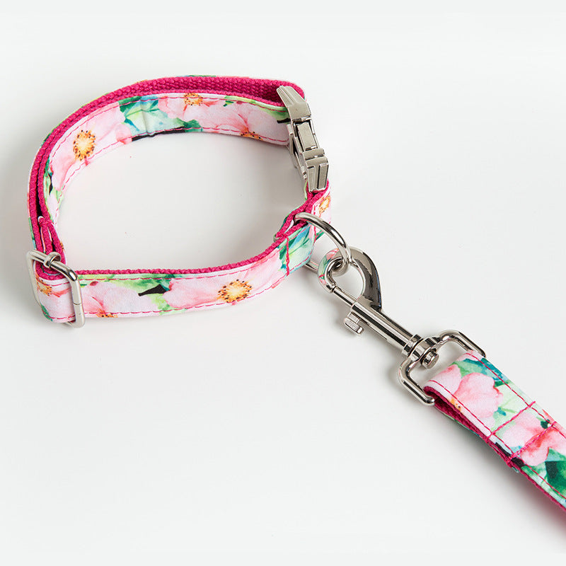 Dog Collar Amazon Dog Leash Pattern Set