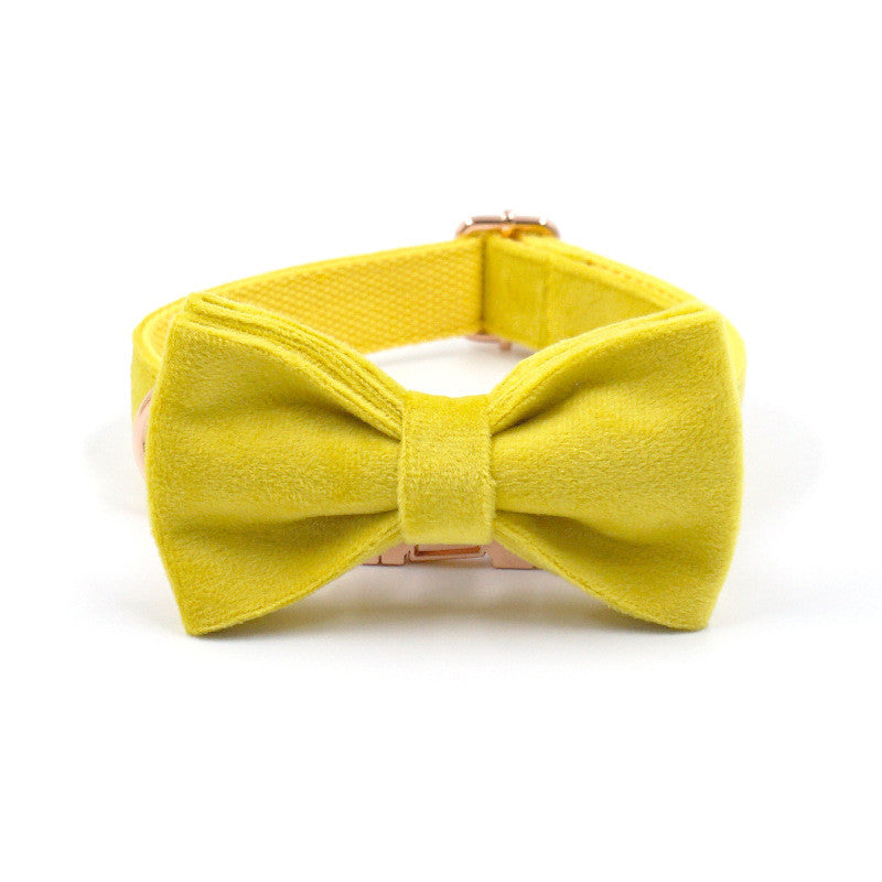 Rose Gold Buckle Yellow Velvet Dog Collar And Bow Tie Can Be Engraved Dog Collar Suit