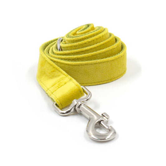 Elegant Yellow And Green Velvet Dog Go Out Collar Traction Rope Set