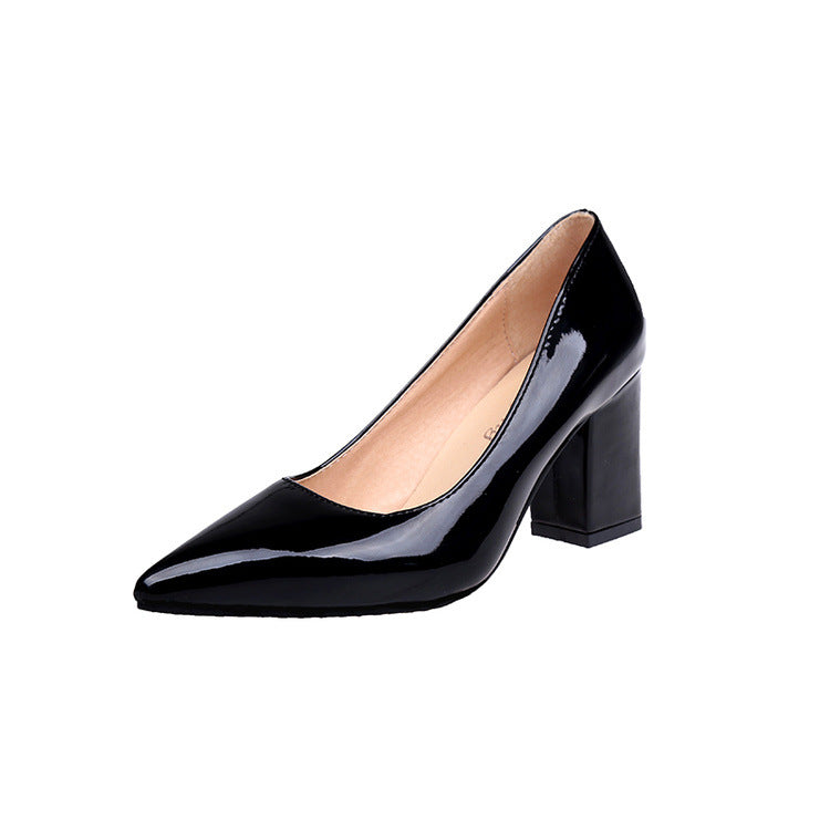 Shallow Mouth Pointed Toe Thick Heel Shoes