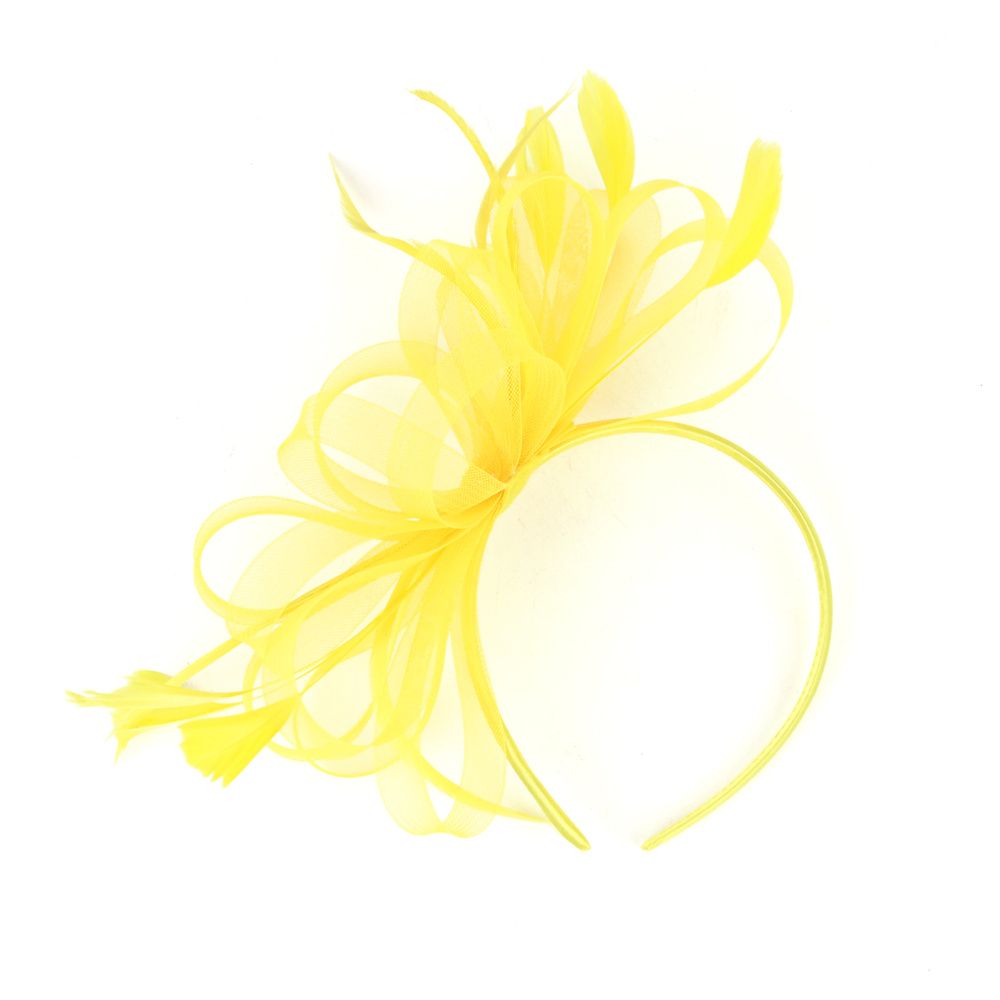 Simple Retro Hairpin Mesh Feather Hair Accessories