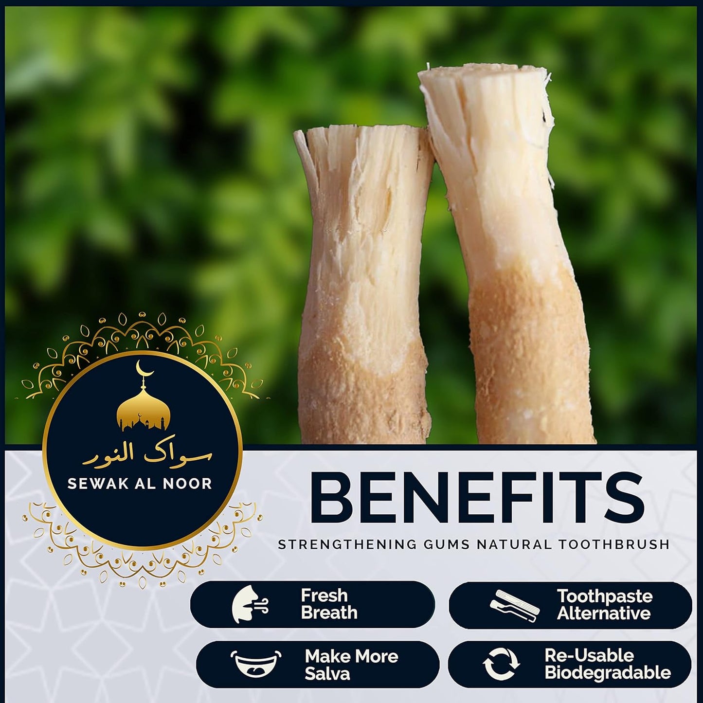 Pack of 10 Miswak Sticks for Teeth with Holder - Vacuum Sealed Natural Flavored Chew Sticks for Humans - Natural Toothbrush for Teeth Whitening, Oral Health & Fresh Breath || Pack of 10