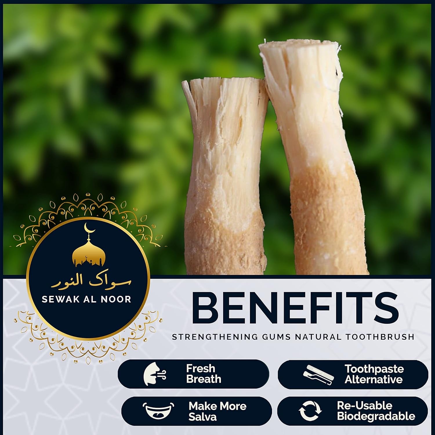Pack of 10 Miswak Sticks for Teeth with Holder - Vacuum Sealed Natural Flavored Chew Sticks for Humans - Natural Toothbrush for Teeth Whitening, Oral Health & Fresh Breath || Pack of 10