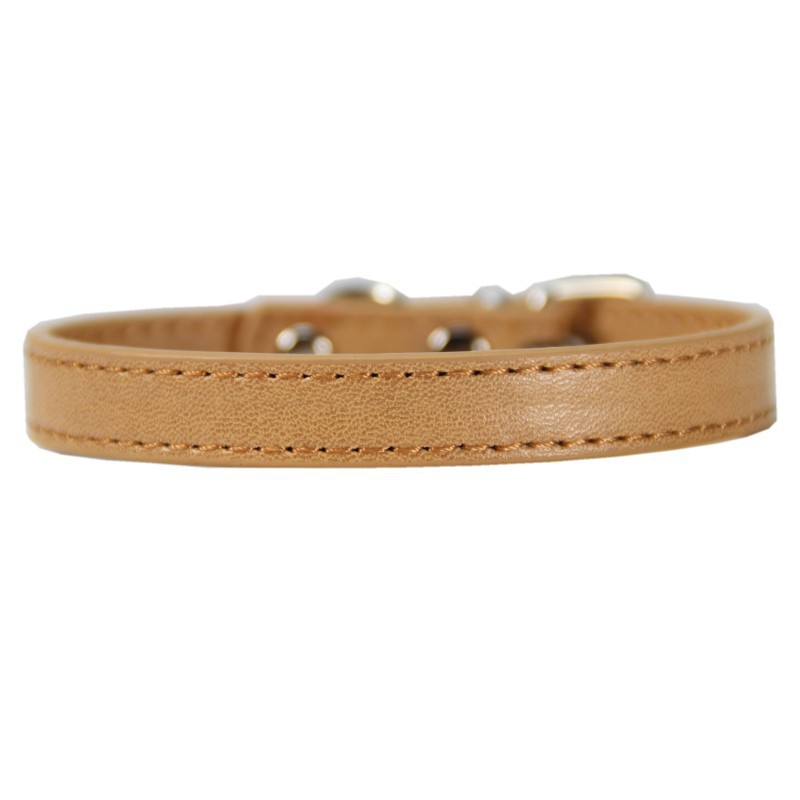 Large pet leash collar