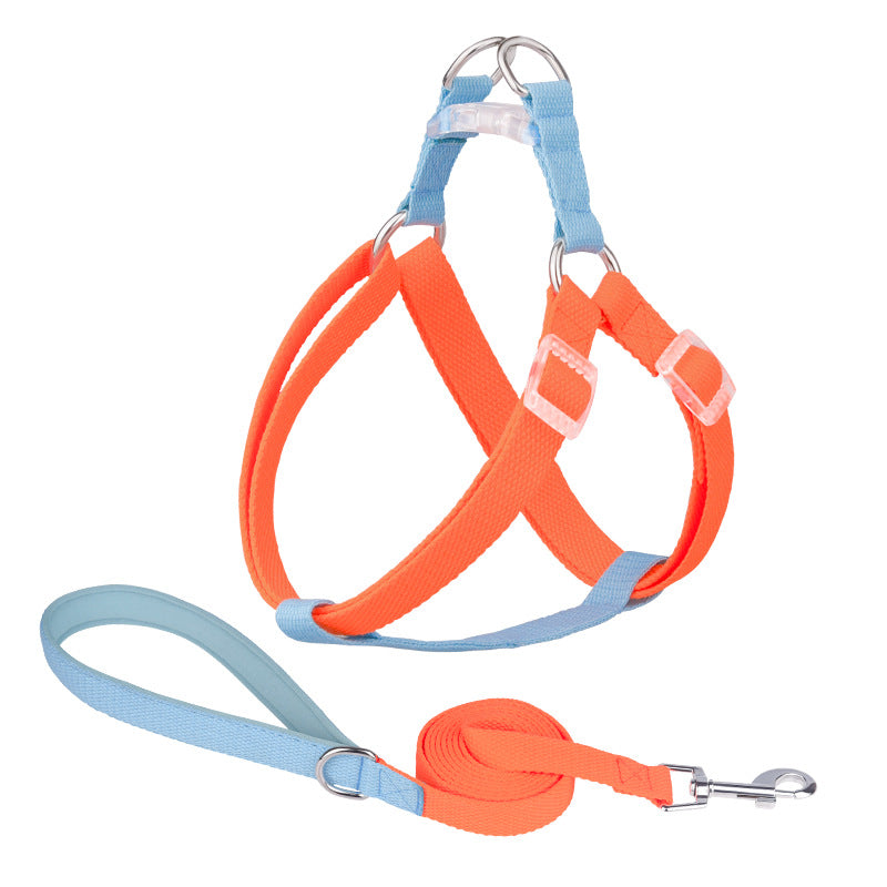 Macaron Traction Dog Rope Small And Medium Sized Pets