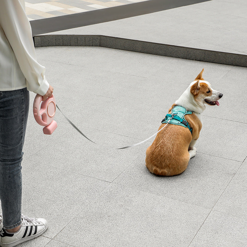 Automatic Retractable Dog Hand Holding Rope LED Lighting