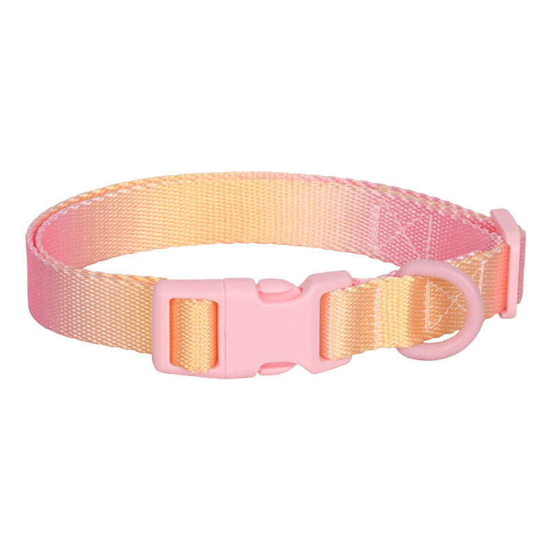 Large Anti-rust Gradient In Dog Collar