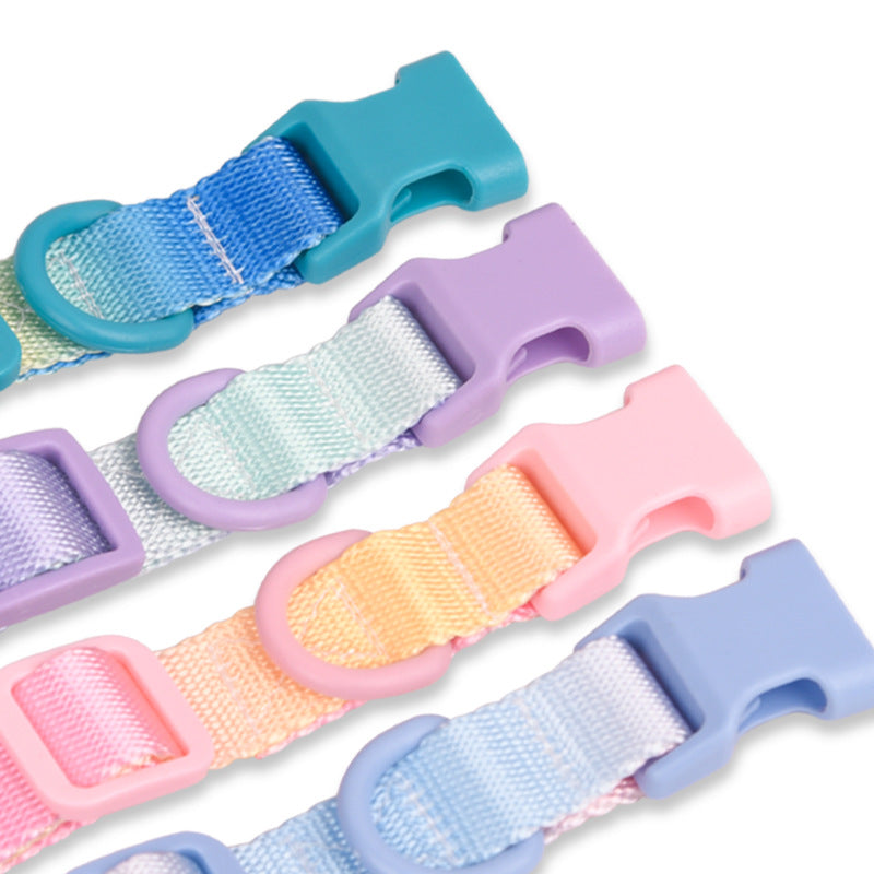 Large Anti-rust Gradient In Dog Collar
