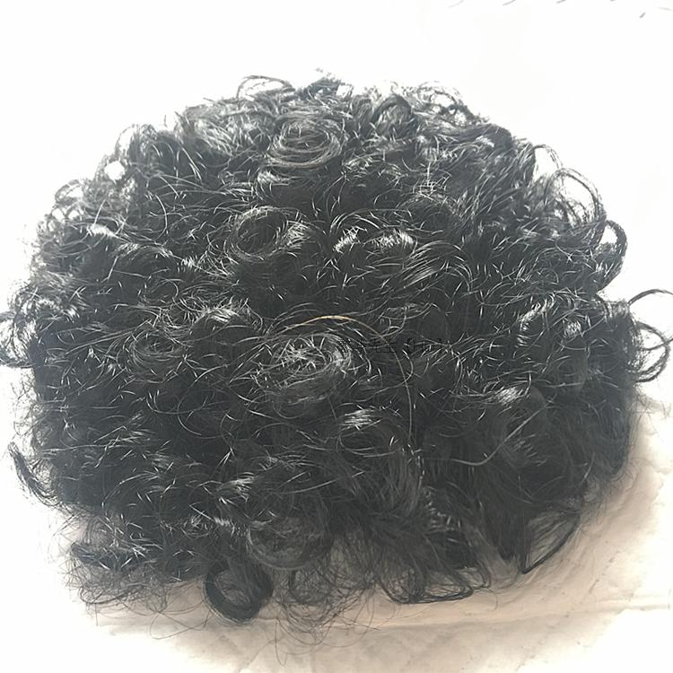Pet dog and cat turned wig