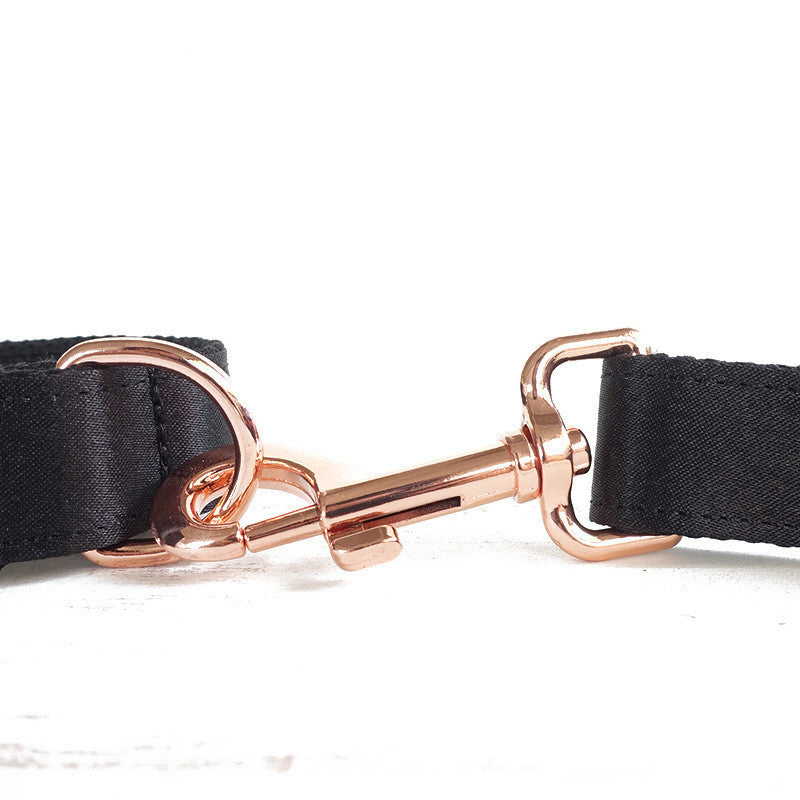 Pet alloy buckle portable leash