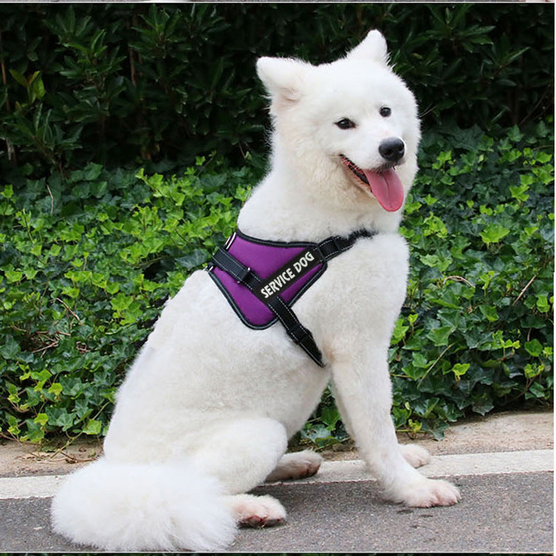 Chest strap for pet dog
