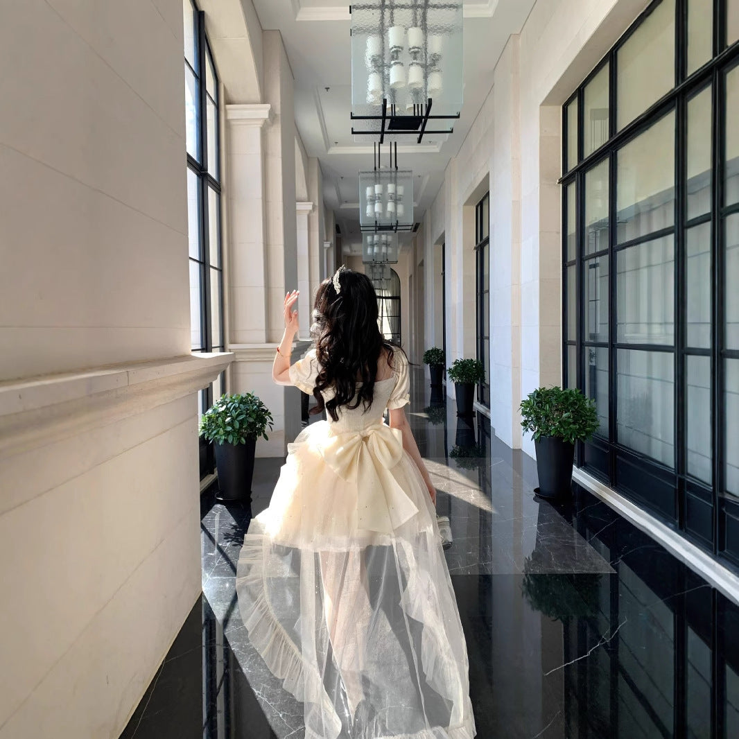 Puffy Sequined Ball Gown With A Large Bow Jacquard Design And A Trailing Skirt