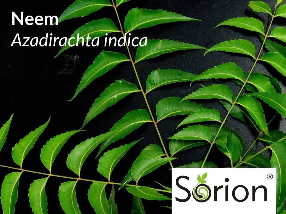 Crema 50 G - Para Casos De Piel Seca, Enrojecida, Escamosa Y Con Picazón