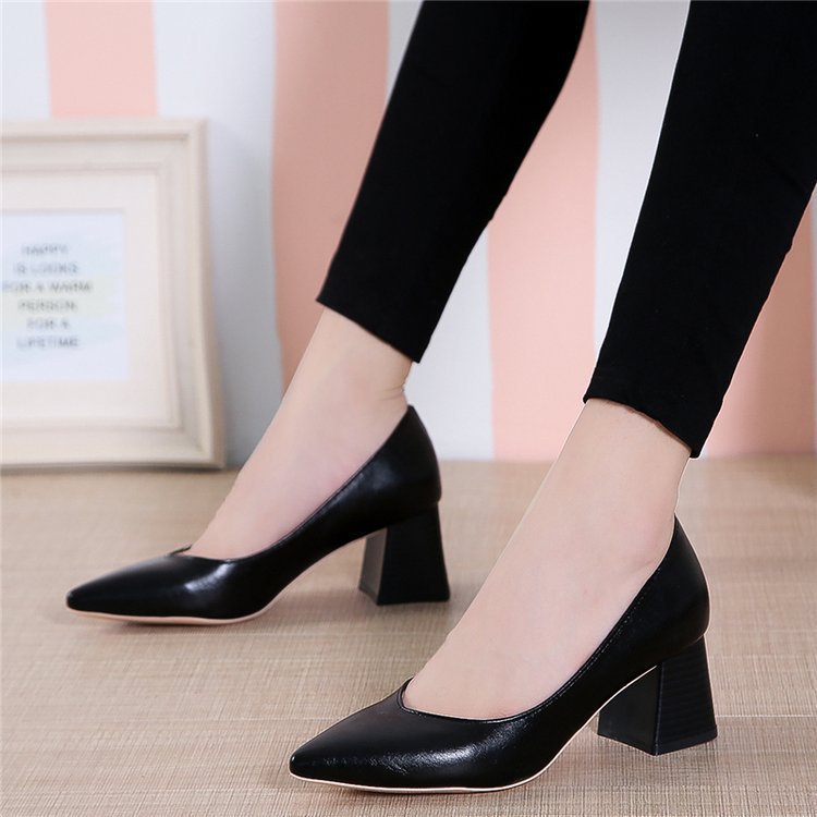 Pointed toe shoes with thick heels