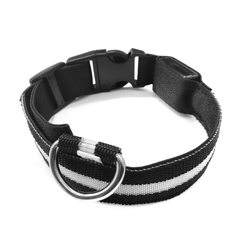 Anti-lost Luminous Collar Dog Tag Dog Collar