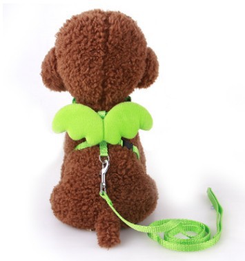 Collar pet wing leash