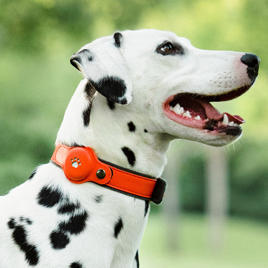 GB Warning Light Pet Anti-lost Positioning Collar
