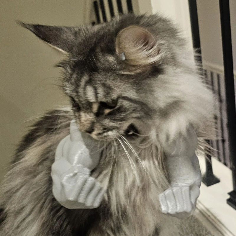Funny Muscle Hand Developed Arm Creative Cat Hanging Items