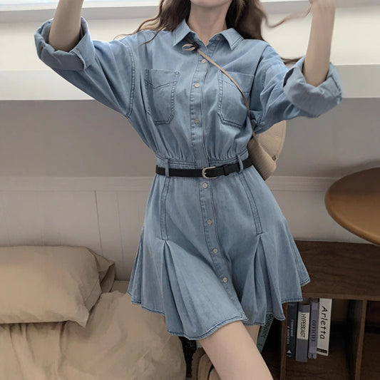 Womens Chic Casual Denim Shirt Dress