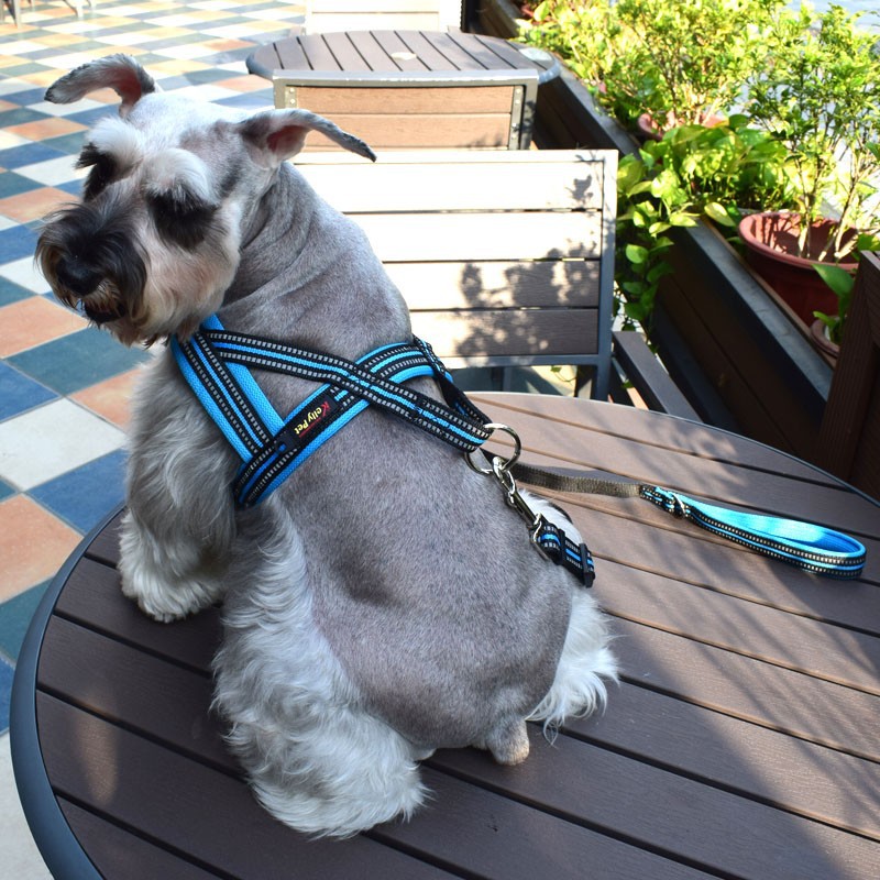 Dog Leash Vest-style Chest Harness