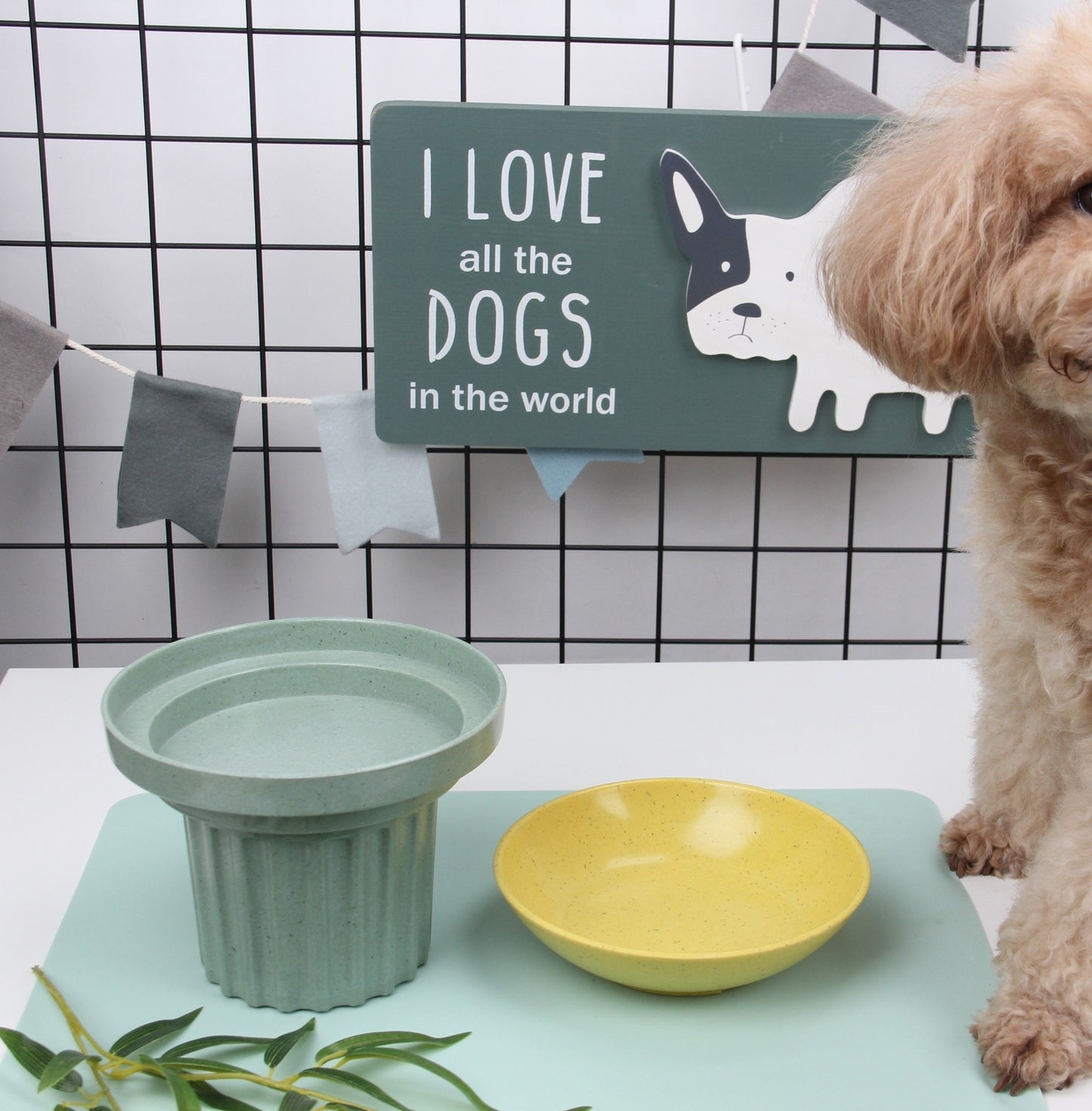 Pet Bowl Bamboo Fiber Three-in-one