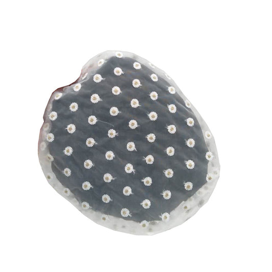 Hat Women Japanese Cute Daisy Mesh Beret
