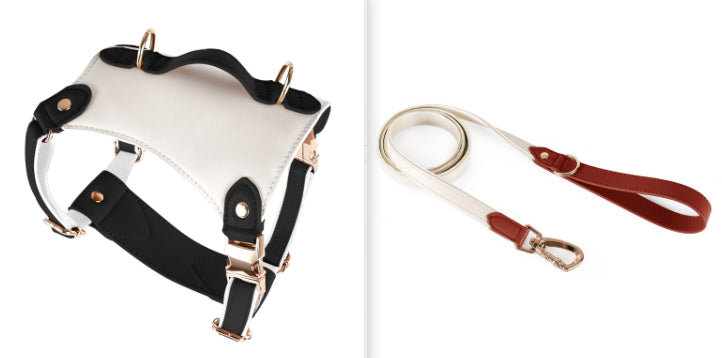 Leather Pet Vest Type Lead Rope Chest Strap