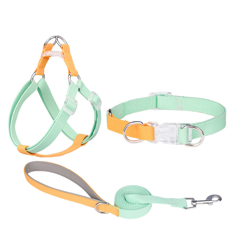 Polyester Ribbon Dog Collar Pet Hand Holding Rope