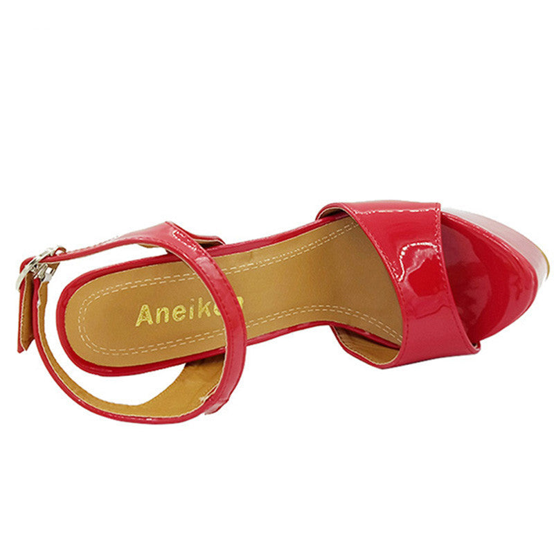 Super High Heel Stage Catwalk Shoes