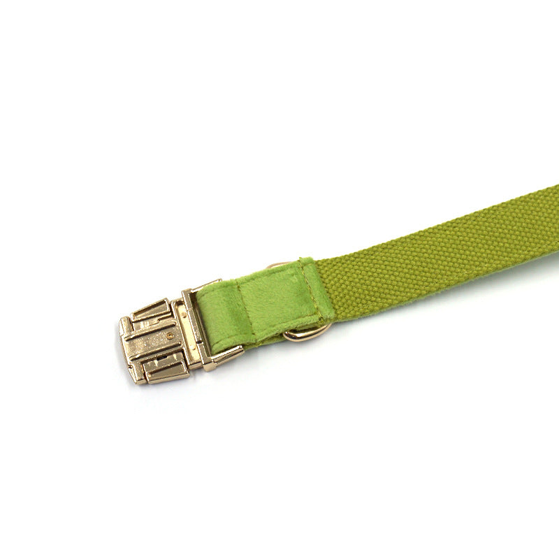 Simple Matcha Green Velvet Dog Collar