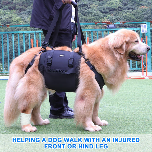 Outdoors Convenient Leg Support Rehabilitation Dog Breast Strap
