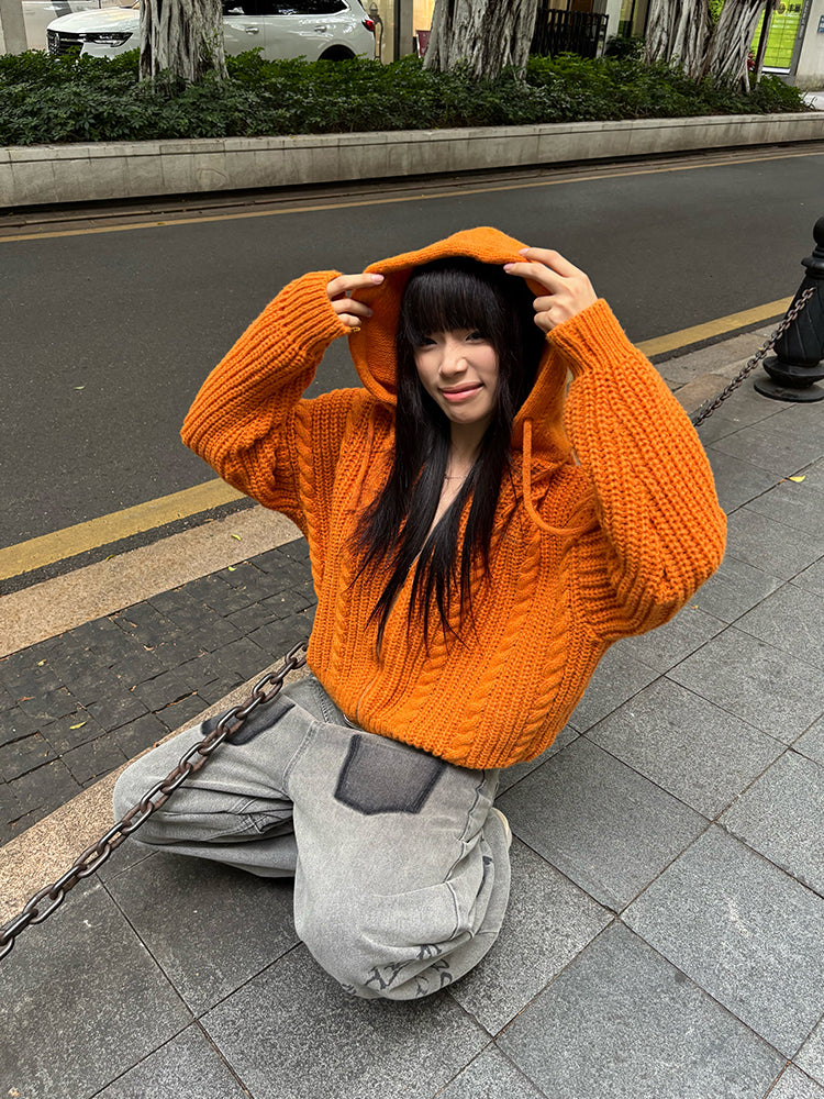 Idle Style Twist Knitted Hooded Sweater