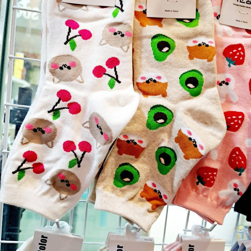 Medium Socks Little Bear Avocado Girls