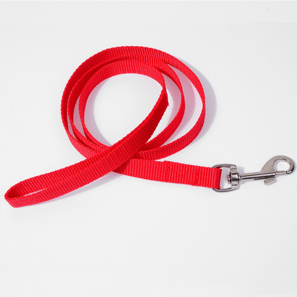 Pet Dog Hand Holding Rope Multicolor Colorful