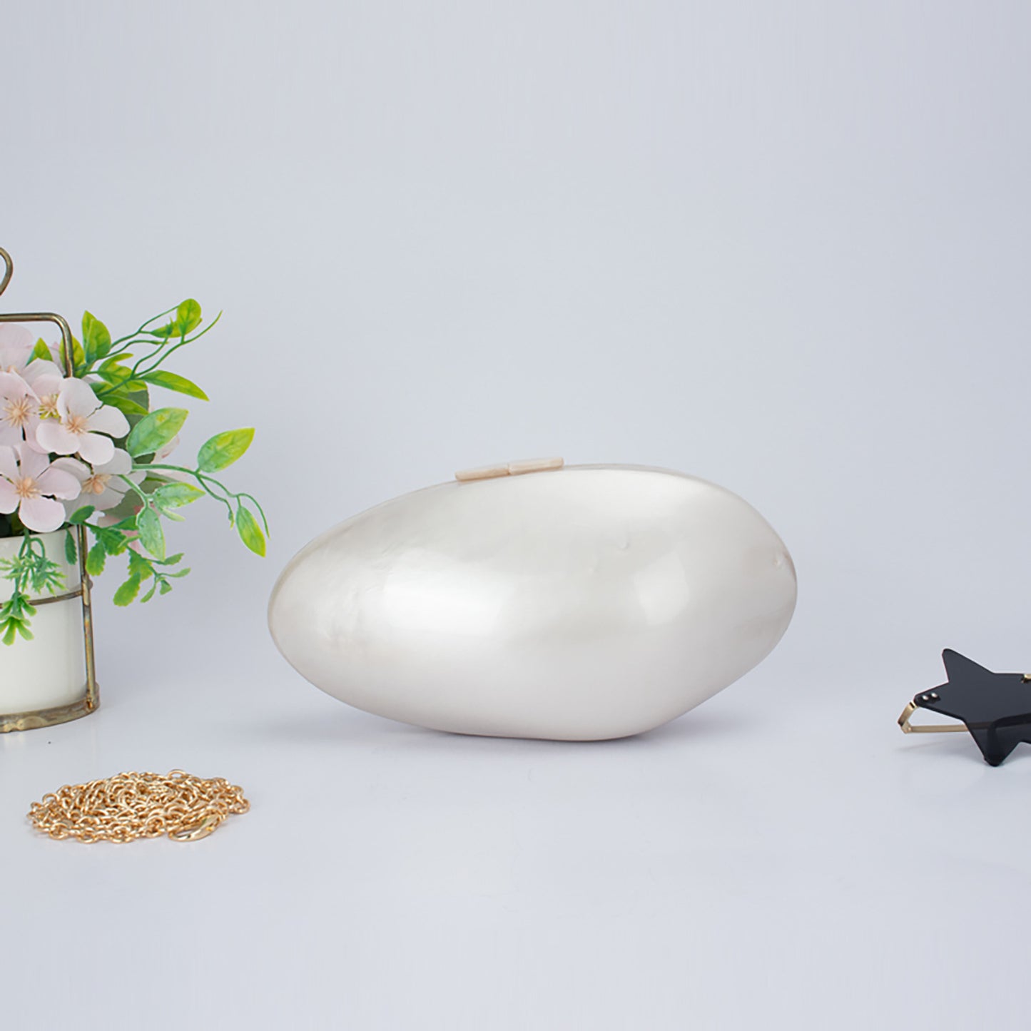 Shell Bag Dinner Wedding Clutch  Acrylic