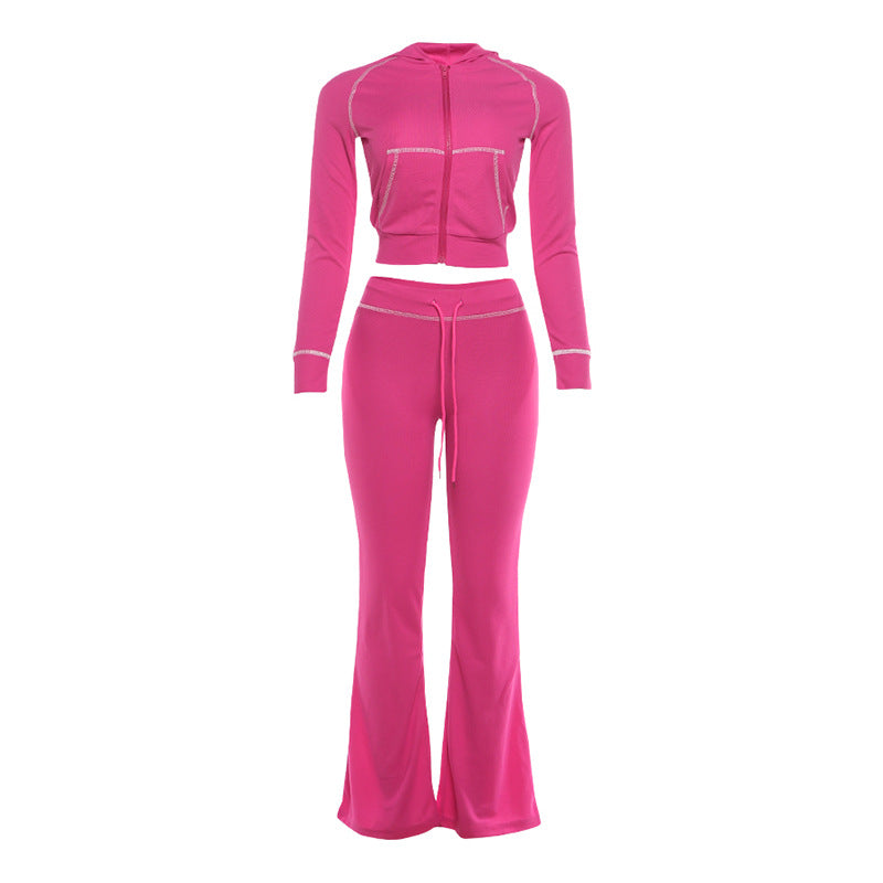 Stylish  Chic Casual Commuter Hoodie And Pants Set For Women