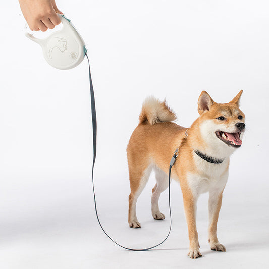 Pet Retractable Leash For Small, Medium And Large Dogs