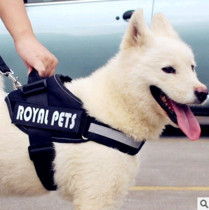Hundeudstyr: Eksplosionssikker hundesele til store hunde – bryst og ryg seler.