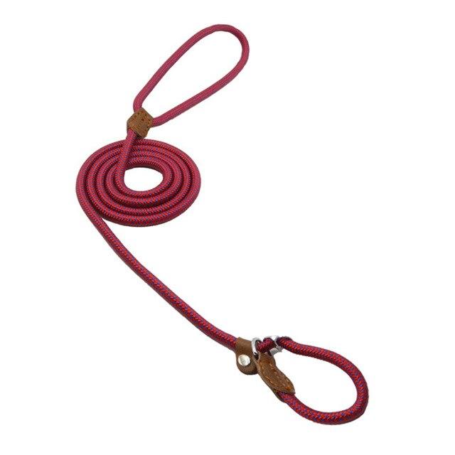 Strong and Sturdy Nylon Dog Collar, Lead, P Type