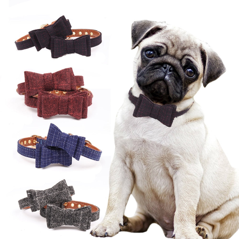 British bow pet collar