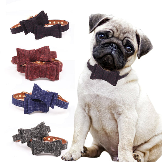 British bow pet collar