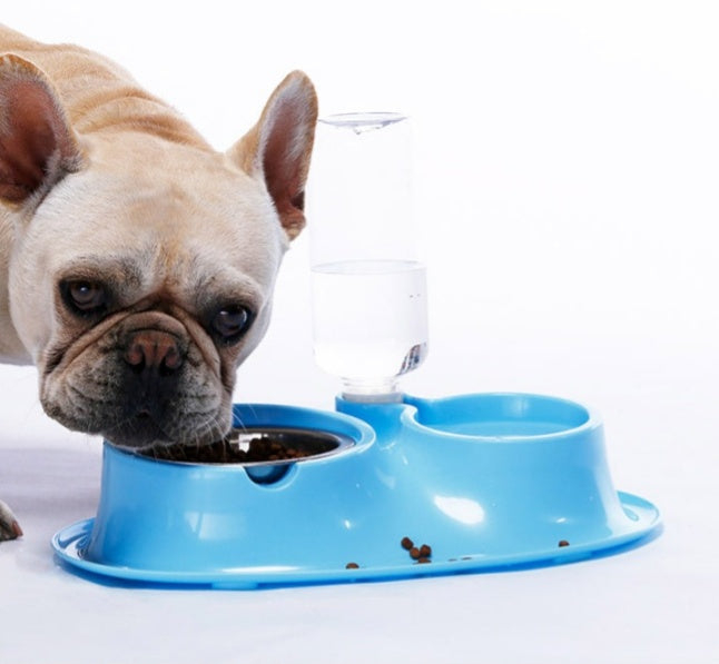 Stainless Automatic Drinking Bowl