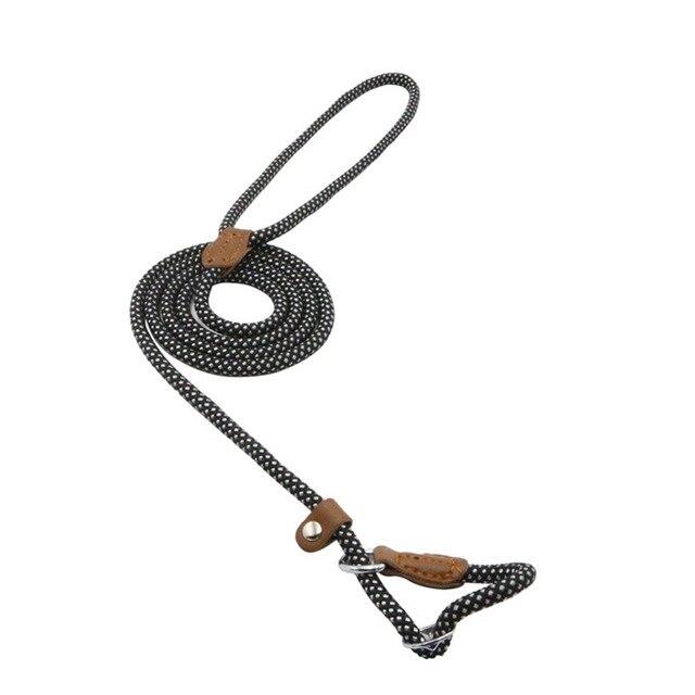 Strong and Sturdy Nylon Dog Collar, Lead, P Type