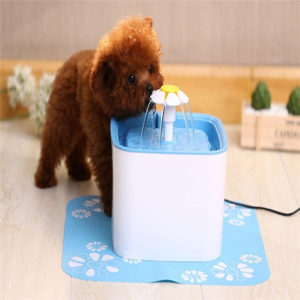 Automatic water dispenser