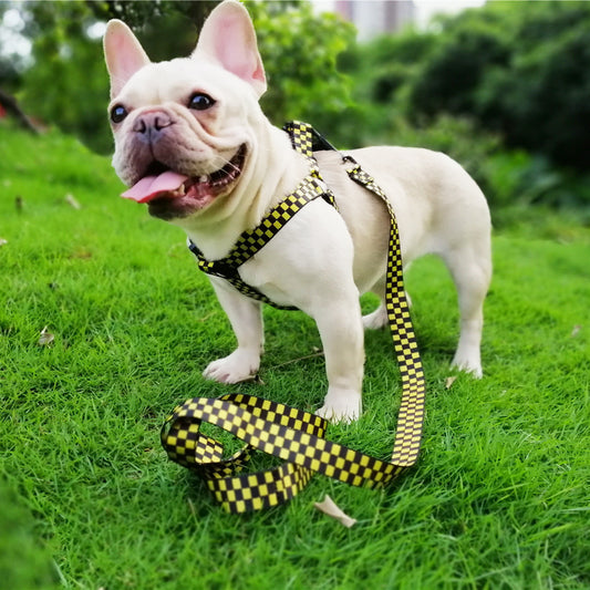 Plaid chest and back fast dog strap