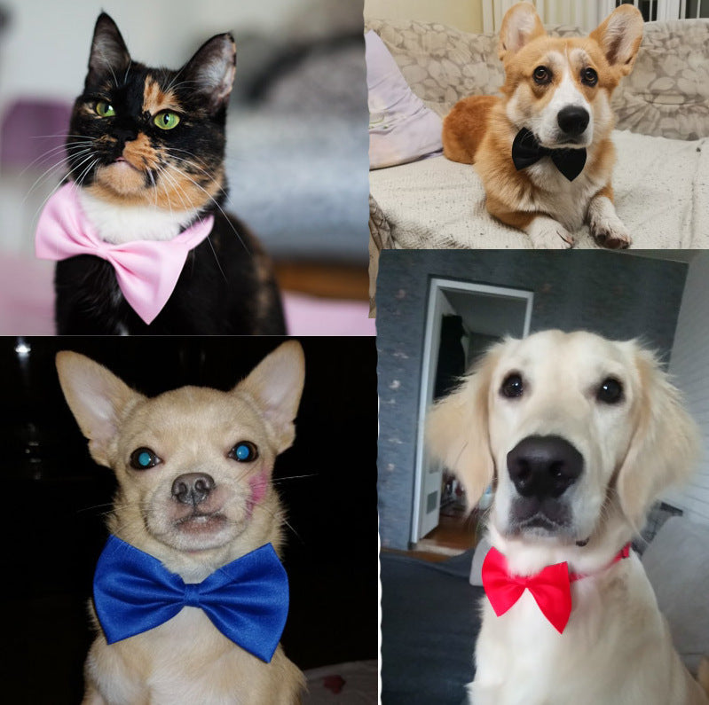 Hund Sommerfugl Sløjfe Blomsterhalsbånd, Fotoartikler til Kat og Hund