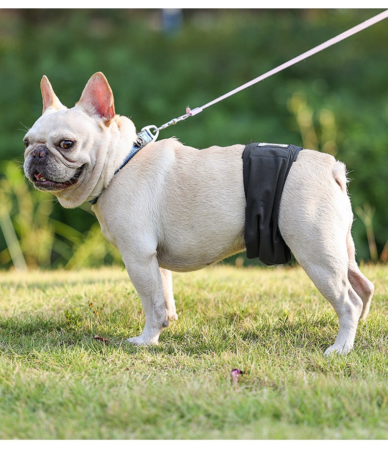 Sterilization Menstrual Panties Anti-harassment Male Dog Diaper Pants Bellyband