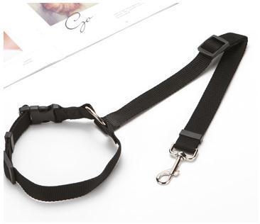 Multicolor Fashion Pet Car Seat Belt Towing Rope